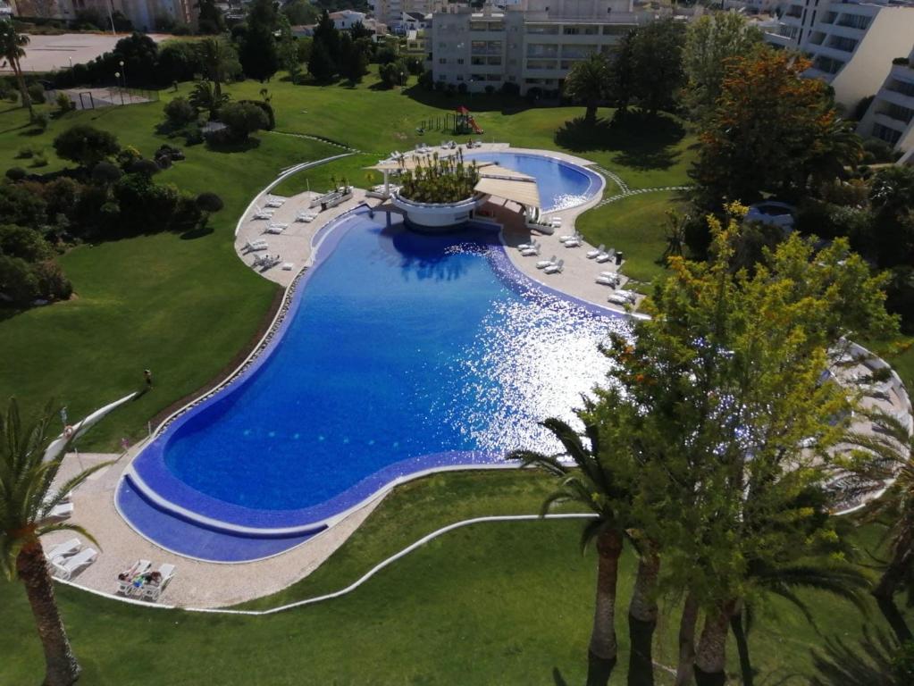 Imagem de MARACHIQUE HOLIDAY