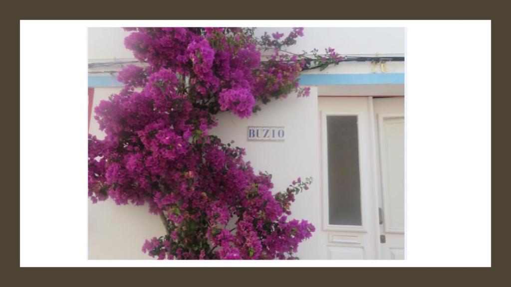 BUZIO