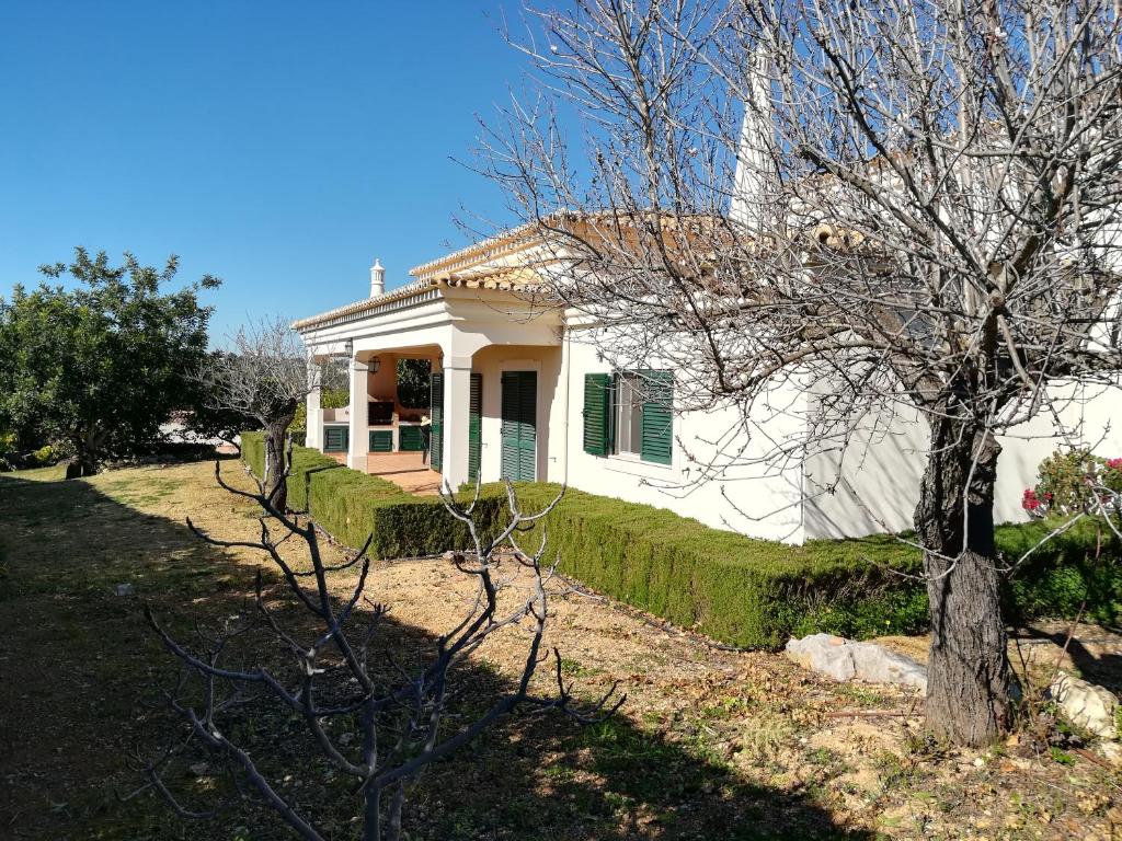 Imagem de Casa Alfazema