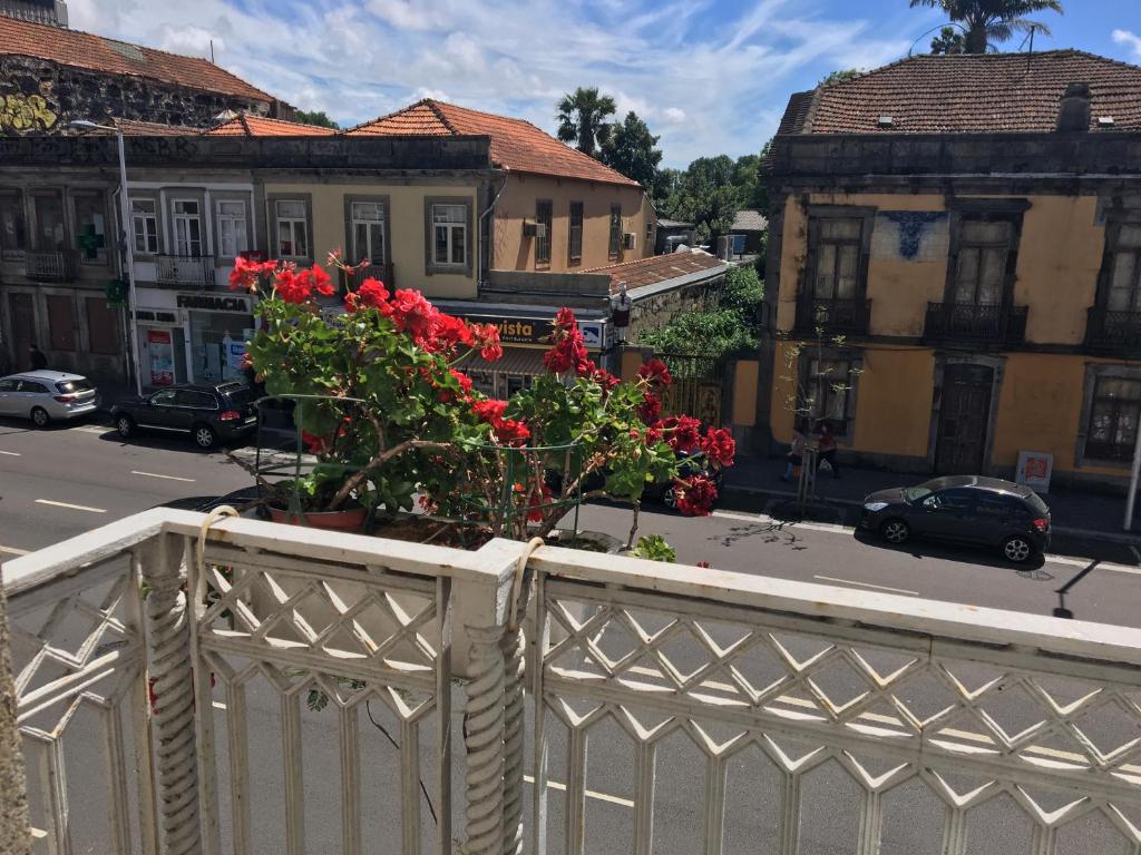 Imagem de Apt B5, Ribeira 11