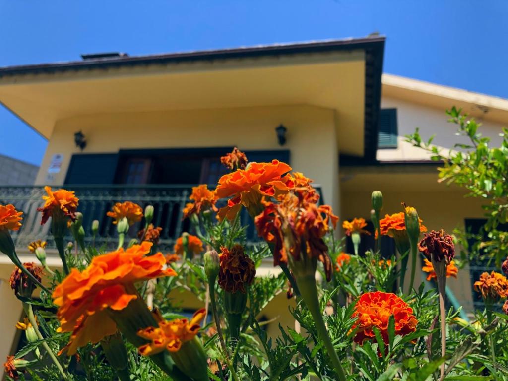 Imagem de Casa de S. Simão
