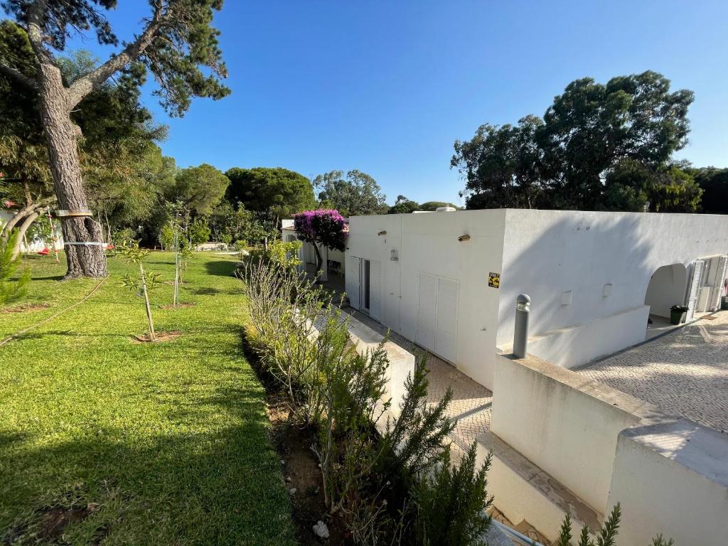 Imagem de New Apartment in Balaia Gardens