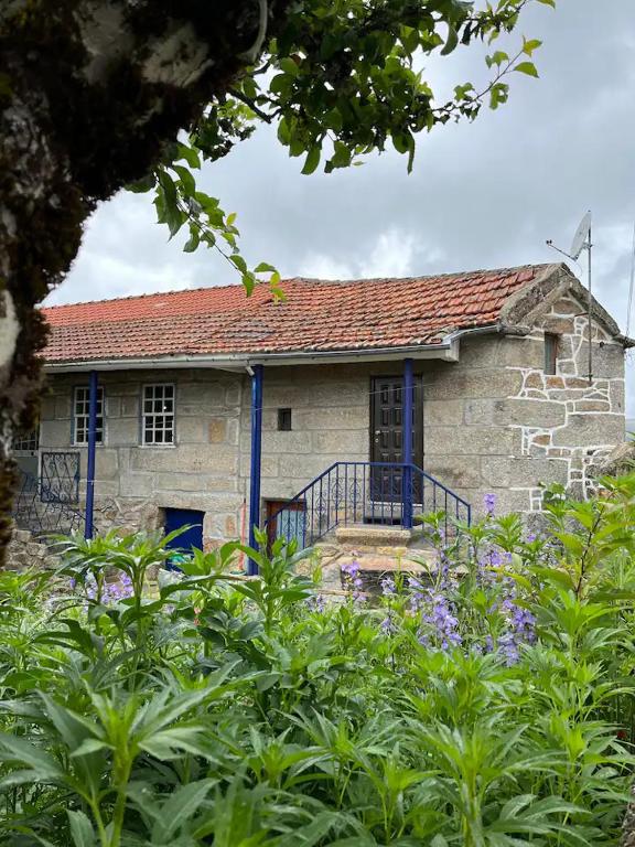 Imagem de CCB - Casa de Campo Benfeito
