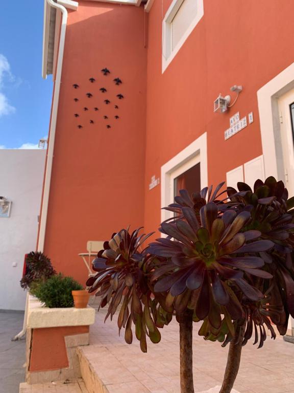 Imagem de Vila José