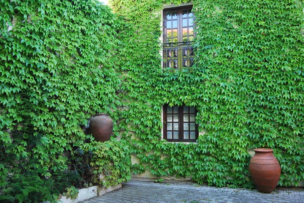 Imagem de Casa do Rio de Vila Nova de Milfontes