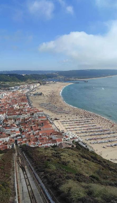 Imagem de Madeira´s House