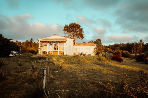 Imagem de CACTUS COUNTRY HOUSE