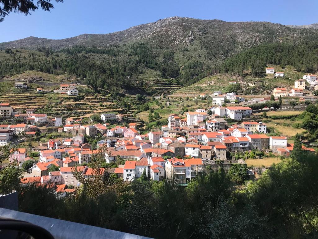 Imagem de Casa do Viveiro