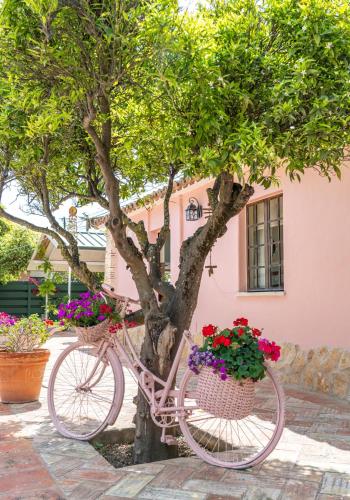 Imagem de Rose Cottage n.º 1
