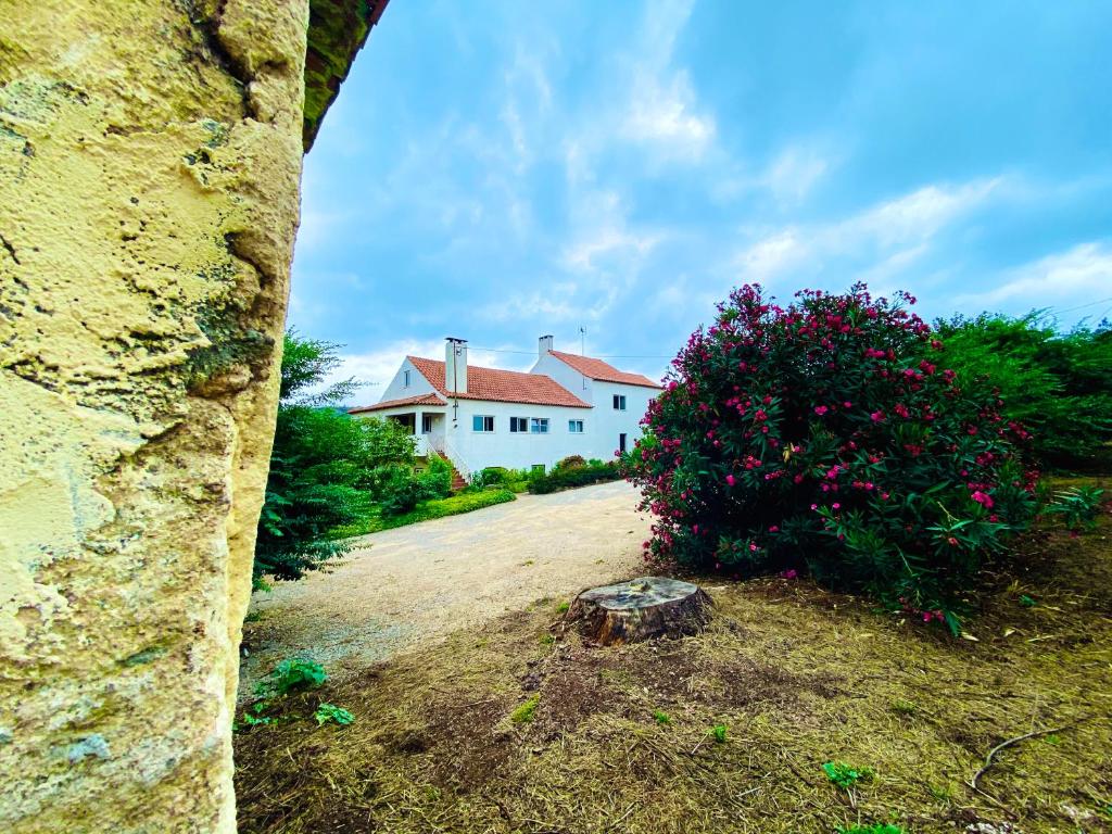 Imagem de Quinta da Vergueira - Figueiró dos Vinhos