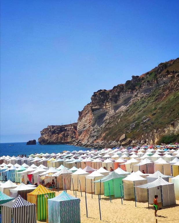 Imagem de Alojamento Madeira