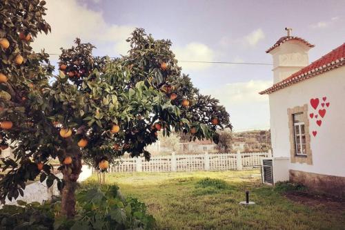 CASA DOS CORAÇÕES