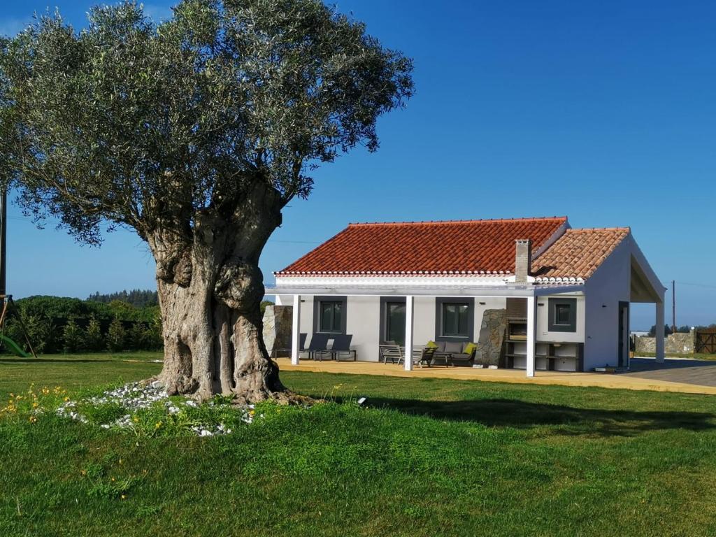 Imagem de KUANZA FARM HOUSE AND LODGE