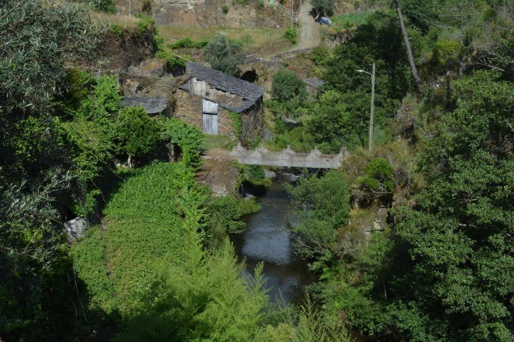Imagem de Casa do Amieiro - Cantinho do Céu