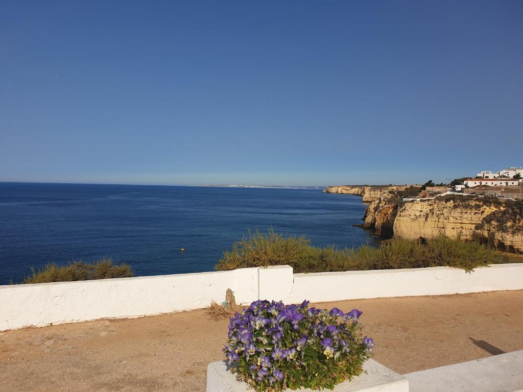 Imagem de Apt1Carvoeiro