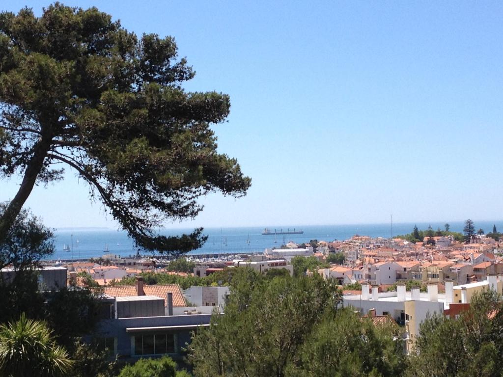 Imagem de Luz e verde no centro de Cascais