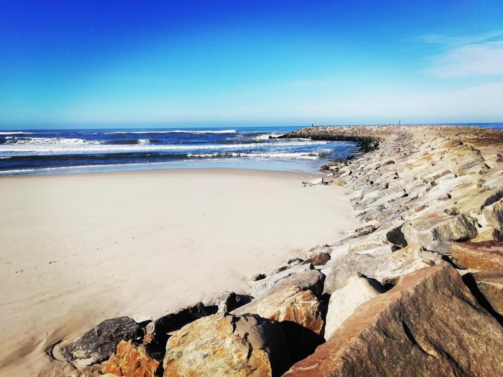 Imagem de Atlantic Nature