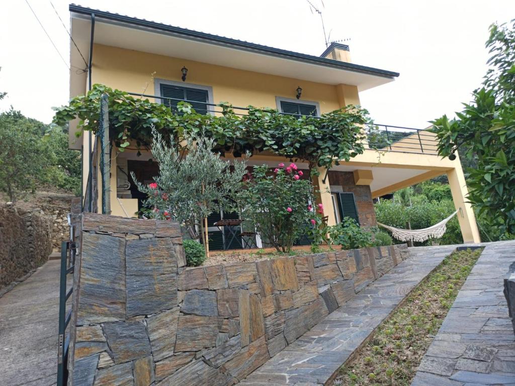 Imagem de Vineyards Valley House