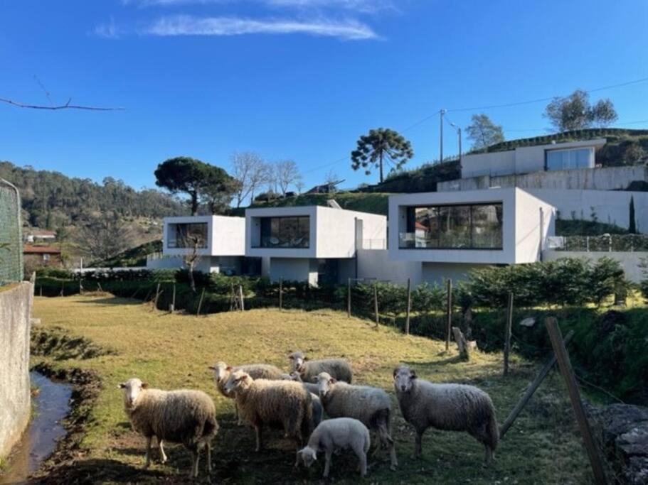 Imagem de Amonde Village - Casa A