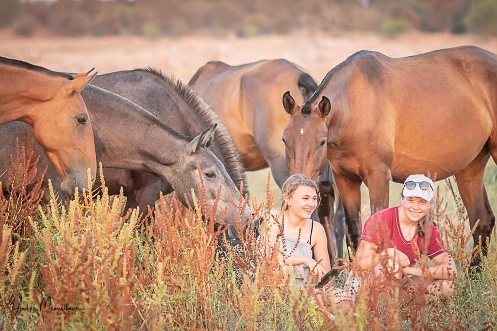 Imagem de Zambujal Horses and Nature