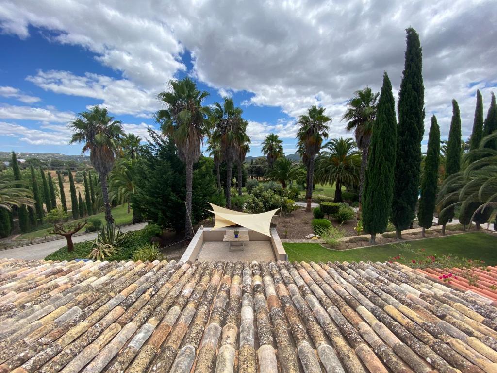 Image of Casa Serenida