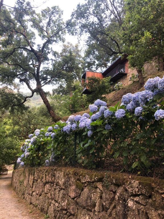 Imagem de Sobreiro Valley