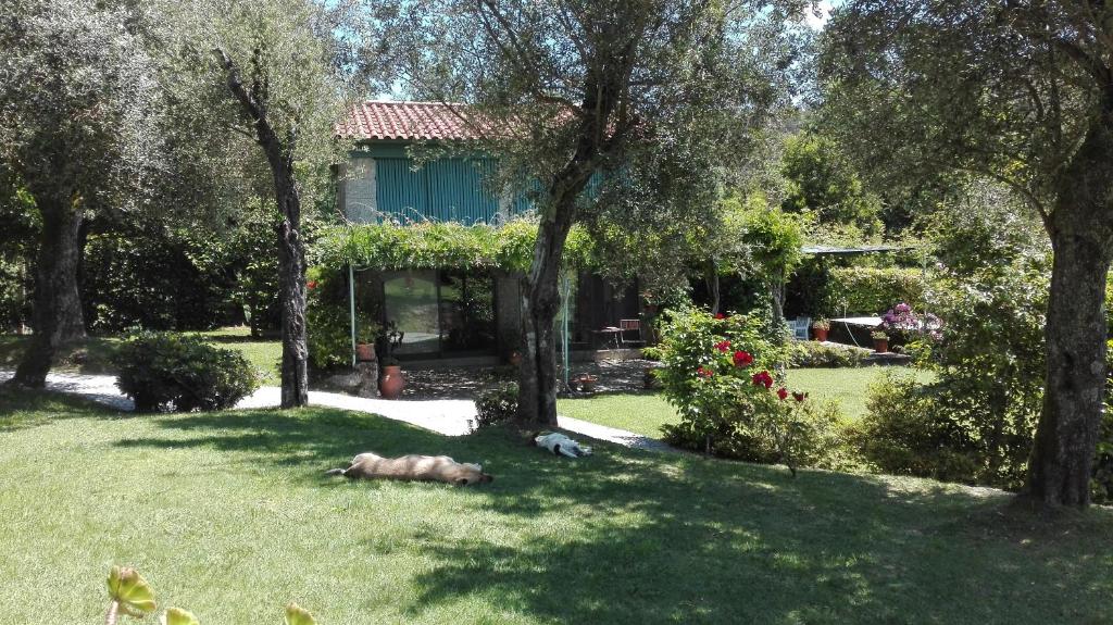 Imagem de Casas da Tapada - Espigueiro