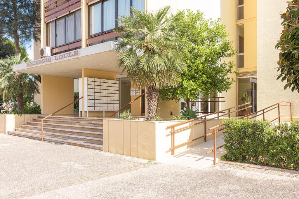 Imagem de Apartamento Rafael