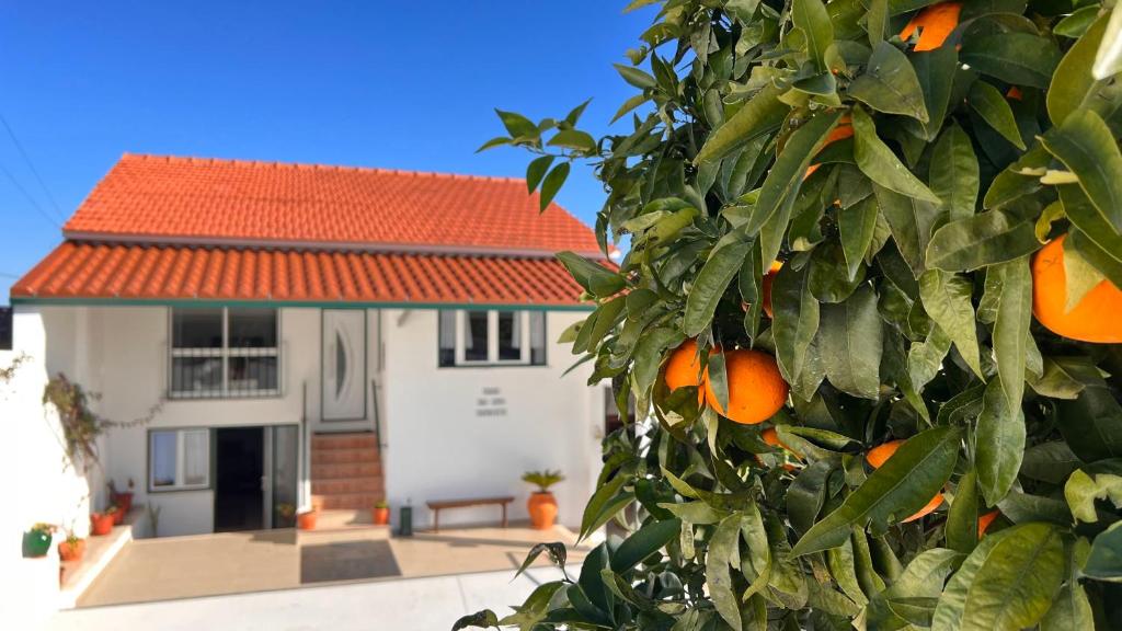 CASA DO AVÔ PATRICIO