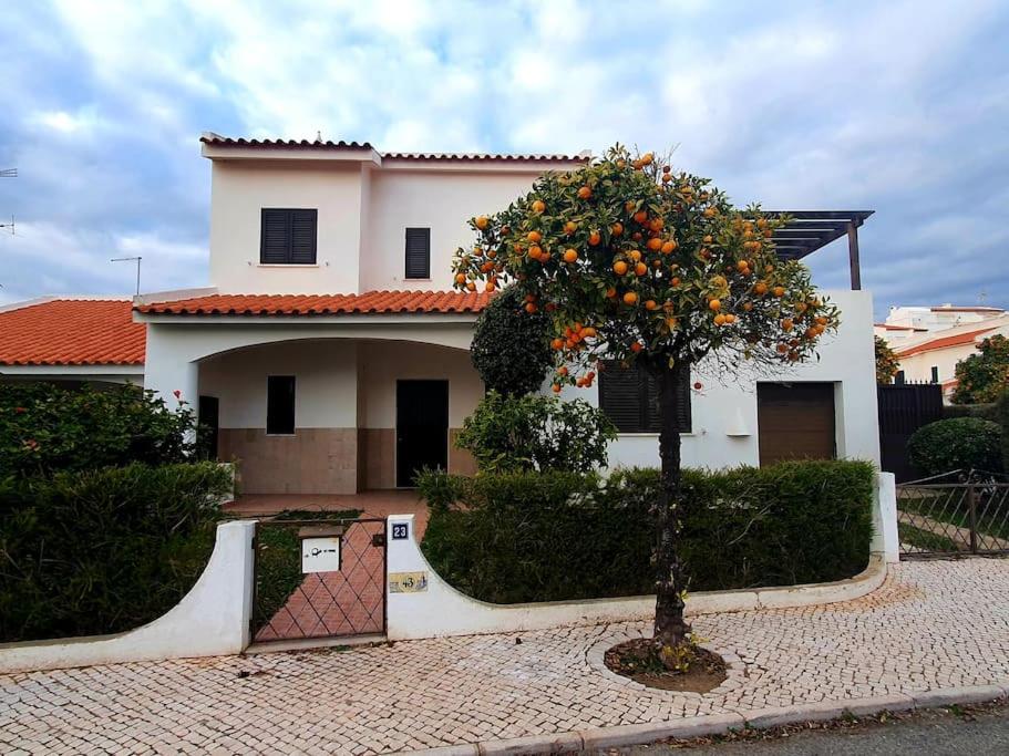 Imagem de Lovely Beach House