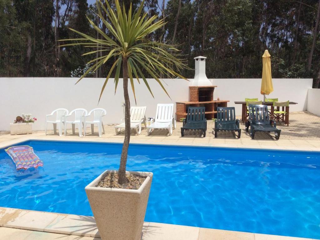 Imagem de Vila Floresta