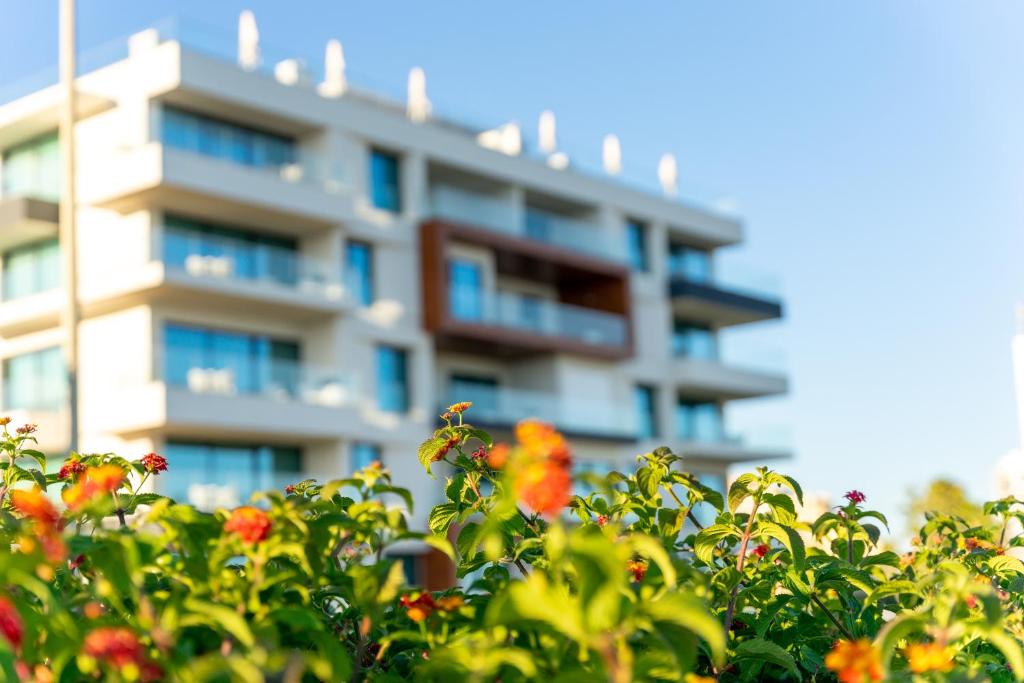 Imagem de Shanti Portimão Apartments