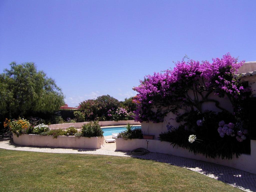 Image of Casa Girassol