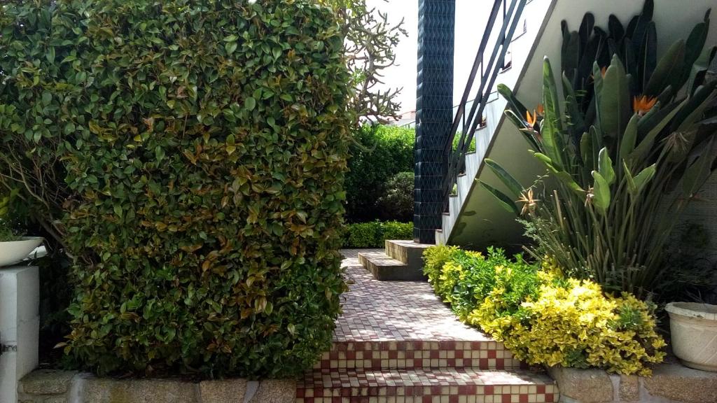 Imagem de Celanus - Quinta das Pedras Francelos - 2