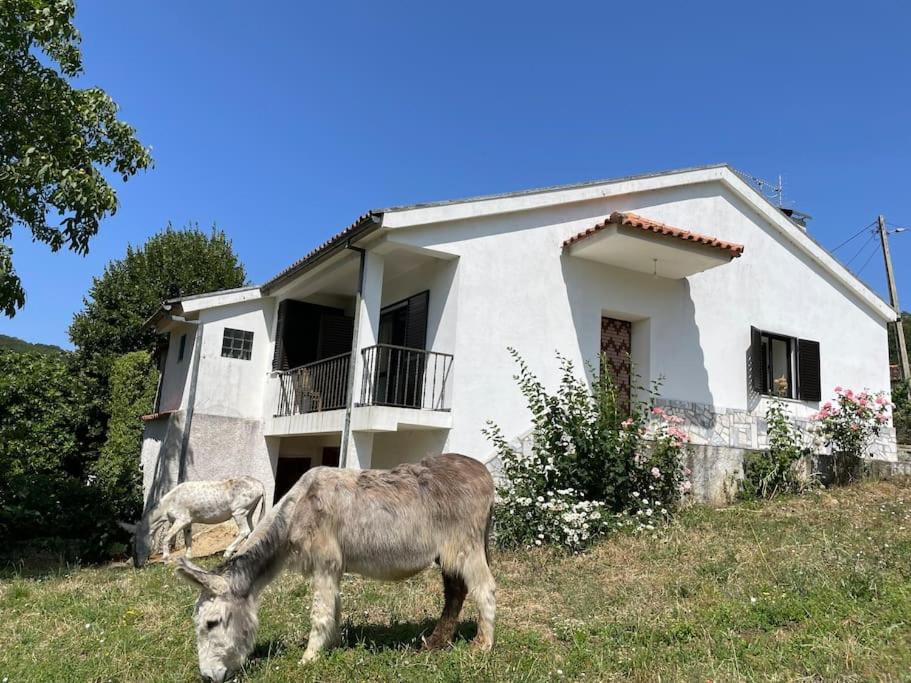 Imagem de Casa Morais
