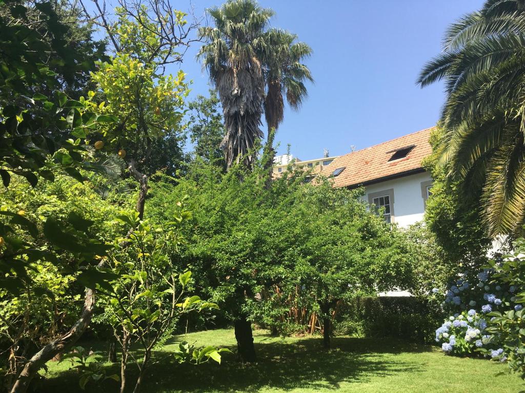 Imagem de Between River and Sea Porto Apartment