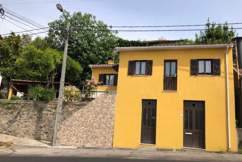 Imagem de Yellow Paradela