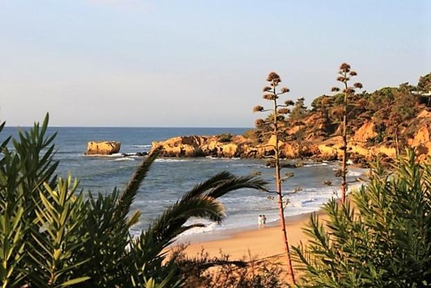 Imagem de ALGARVE SUNNY APARTMENT