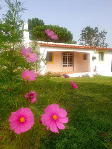 Imagem de Sondela Self Catering