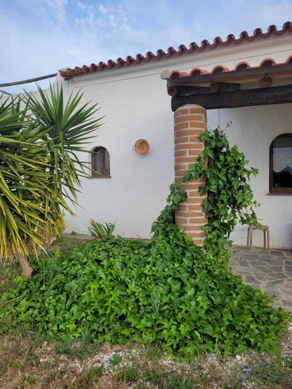 Imagem de Quinta da Belavista