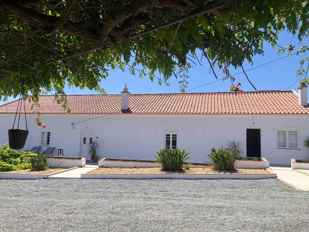 Imagem de Quinta da Corte