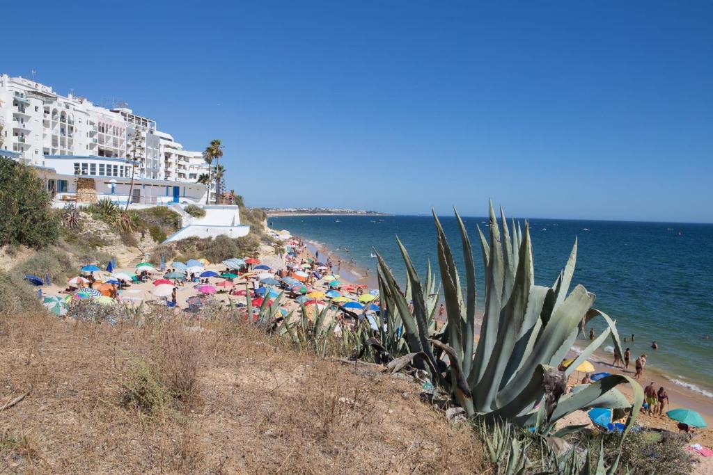 Imagem de HORIZON ALGARVE