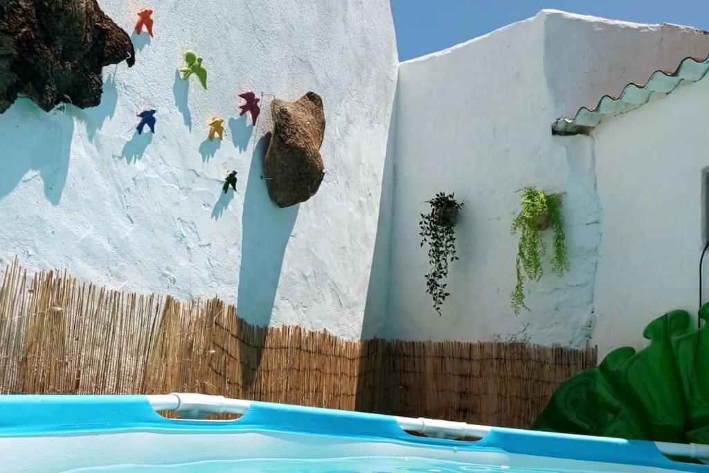 Imagem de Casa dos Cardos