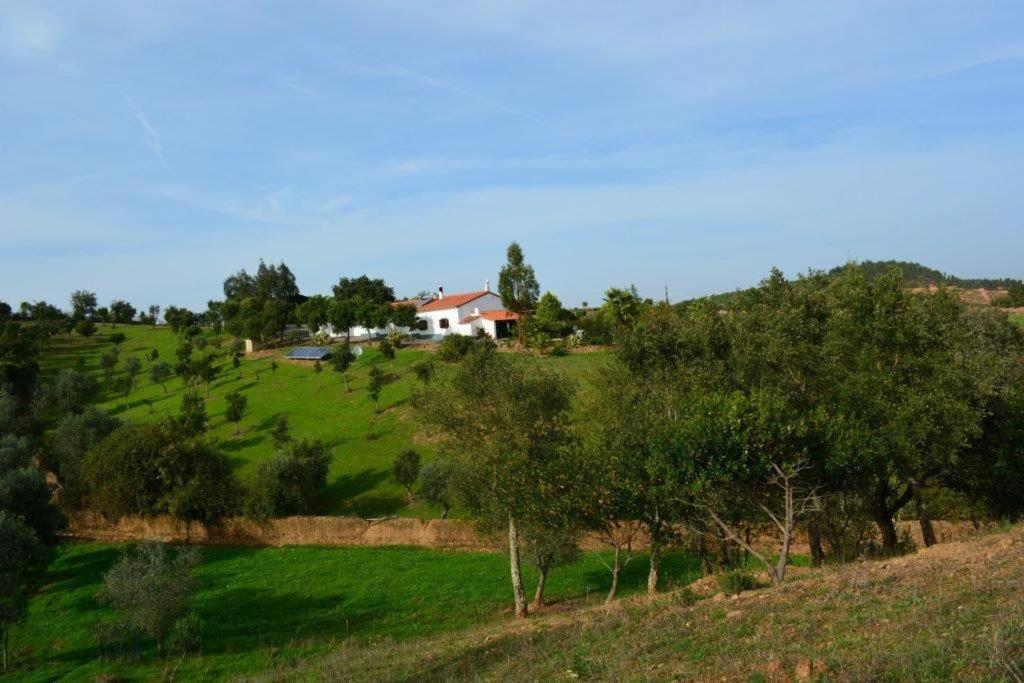 Imagem de QUINTA DO GRILO - B&B