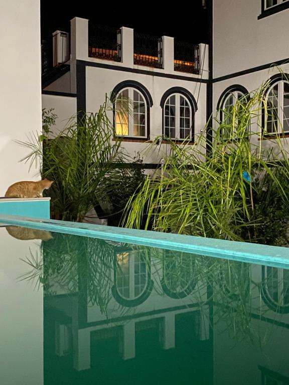 Imagem de Patio da Villa - Coruche Guest House