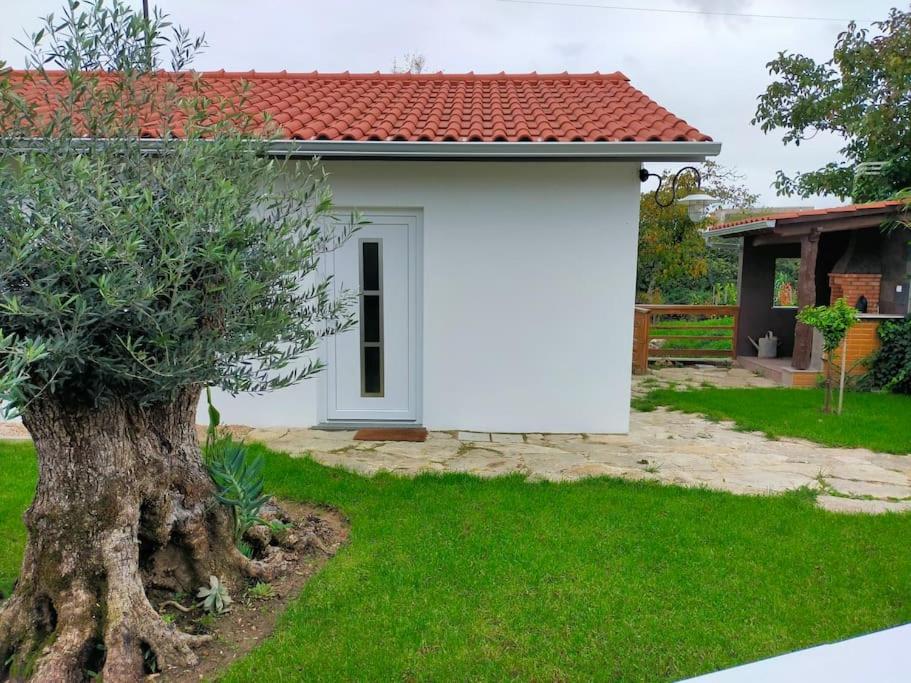 Imagem de CASITA DO RIO