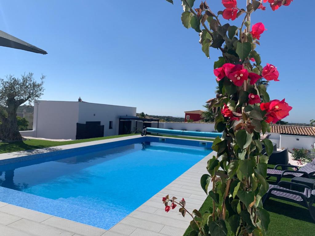 Imagem de Quinta Ria Formosa