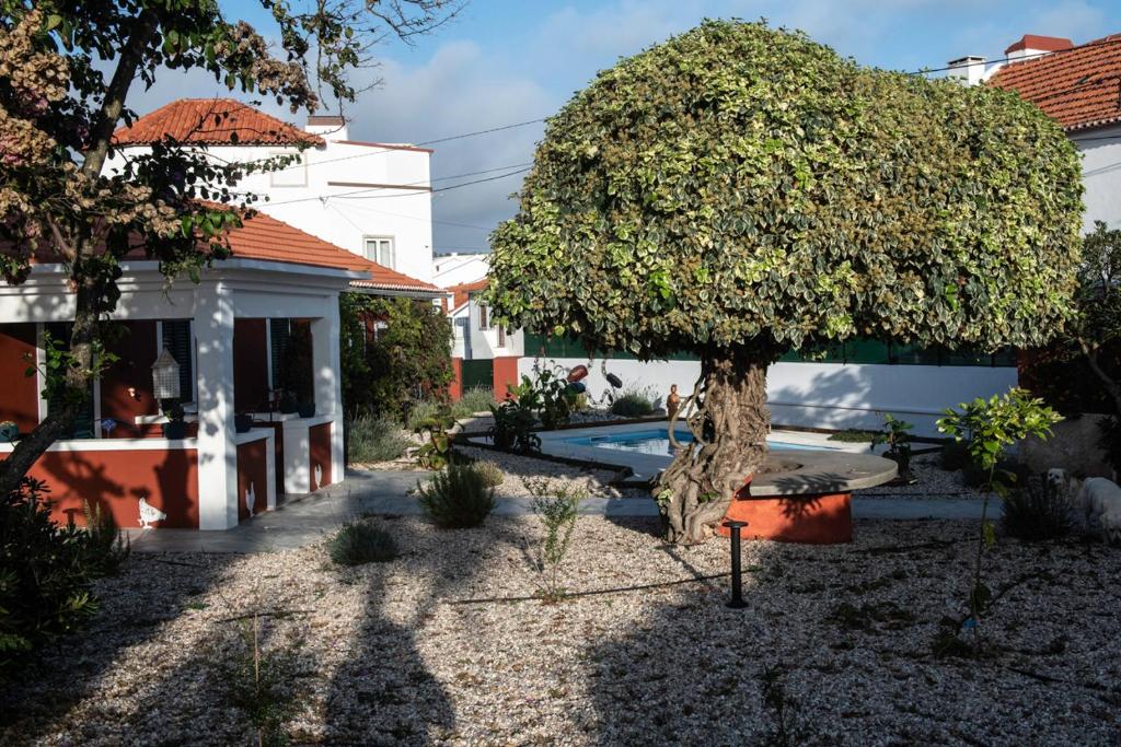 Imagem de Casa Flamingo
