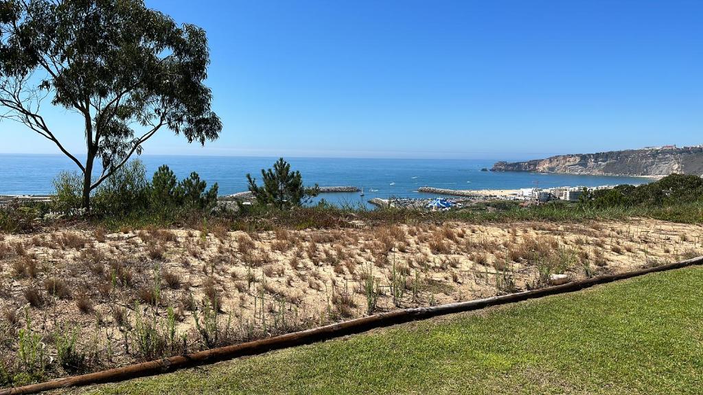 Imagem de Mar À Vista - P