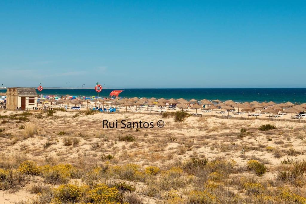 Imagem de Alojamento Manta Villa 2